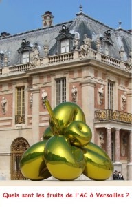 Les fruits de l'AC à Versailles